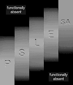 gratification level indicator